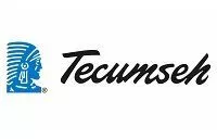 Tecumseh